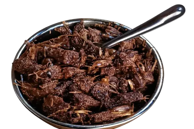Jackfruit bowl Pickle